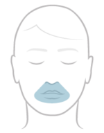 F&P Evora Full Face Mask